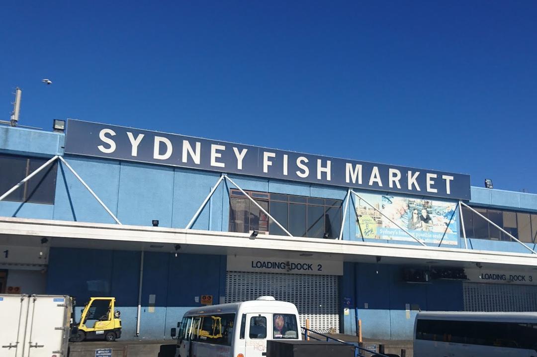 Thưởng thức hải sản tươi sống tại Chợ cá Sydney by Australia Review