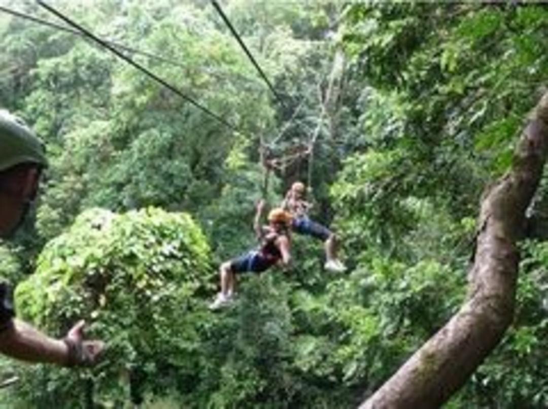 Daintree National Park