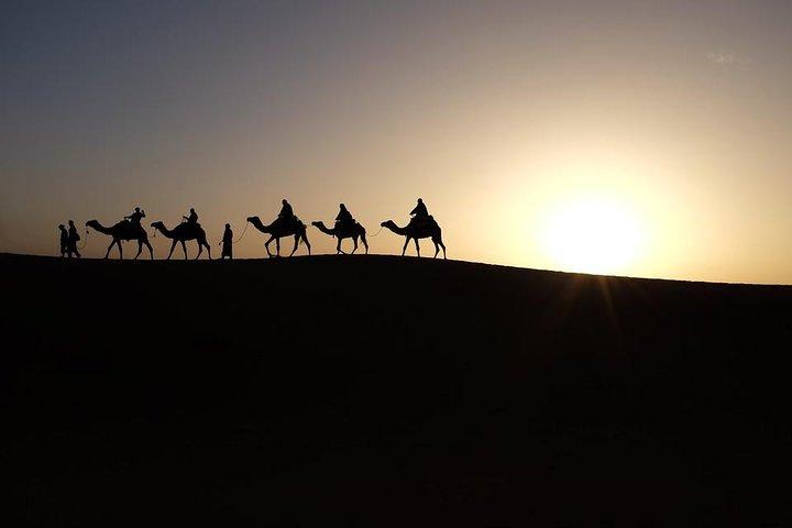 Private tour to Giza pyramids and Sphinx including sunrise camel ride