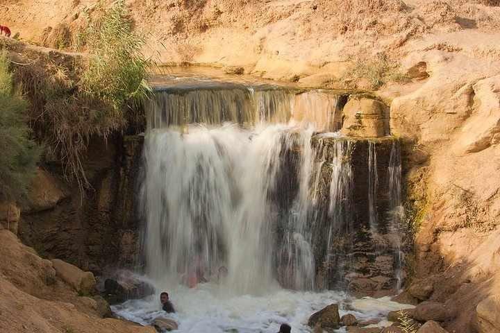 Valley of Whales and Wadi El Rayan Water Falls Day Tour from Cairo