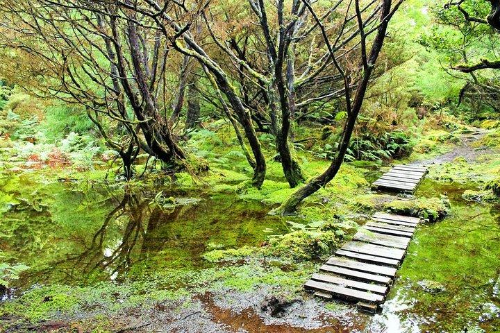 Full-Day Hiking Tour in Terceira Island - Mistérios Negros