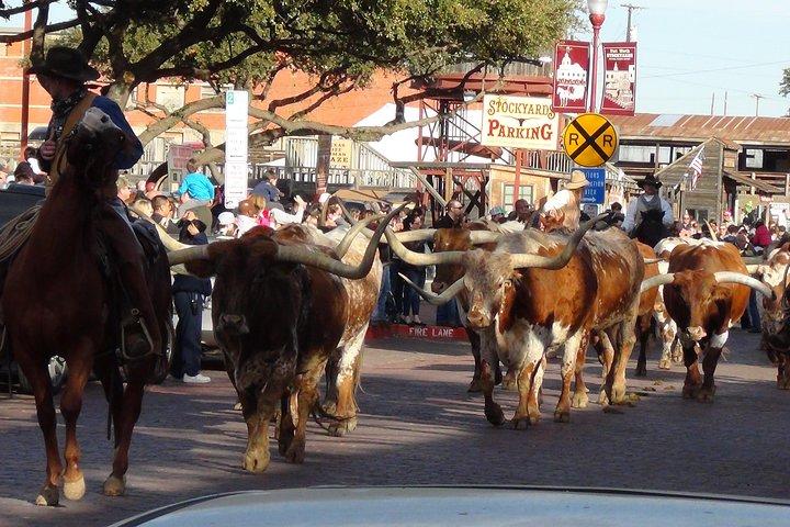 Half-Day Best of Fort Worth Historical Tour with Transportation from Dallas