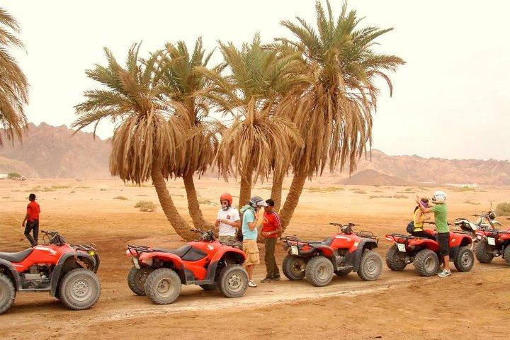 Adventure Quad Biking Tour in Dahab