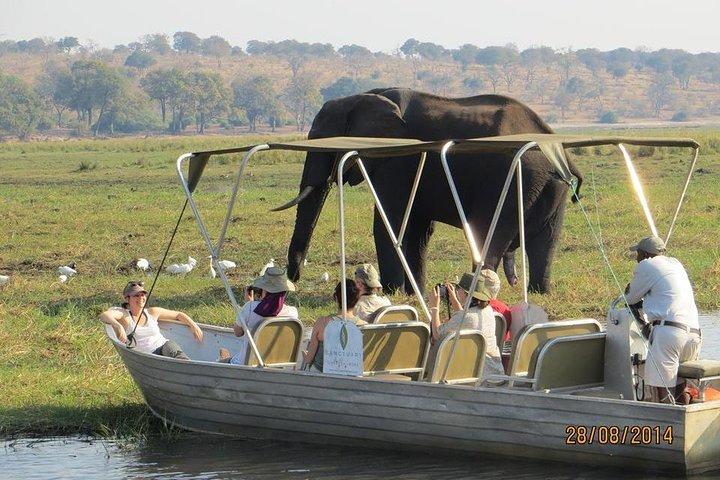 Chobe Day Trip From Victoria Falls Zimbabwe
