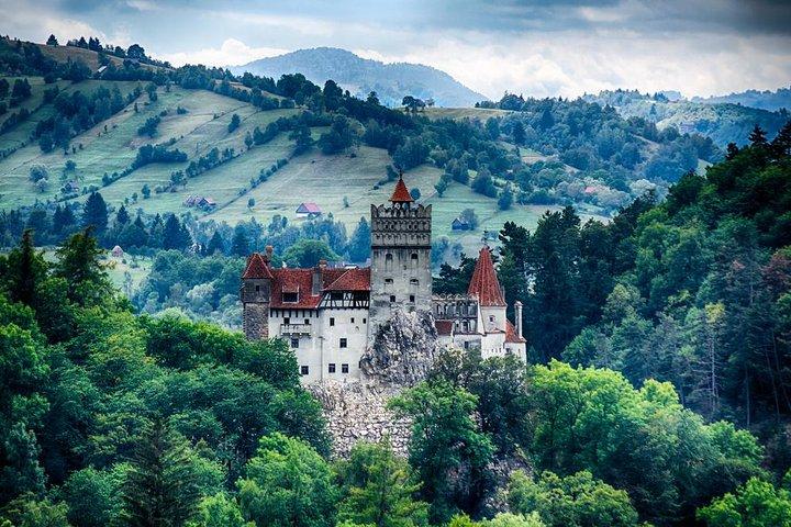 Dracula's Castle, Brasov and Peles Full-Day Tour from Bucharest