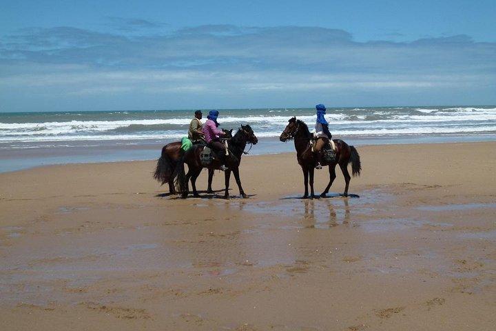 3 hours horse riding in Essaouira, beach, forest and dunes
