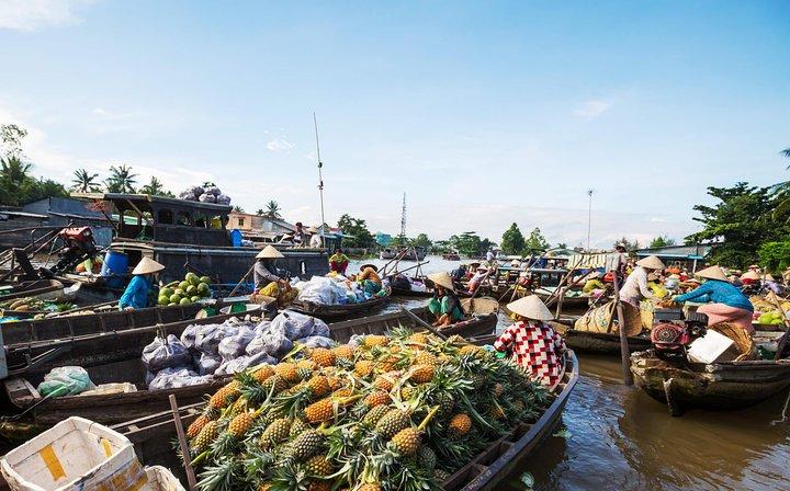 Cai Rang Floating Market & Mekong Delta Private Tour from HCM city