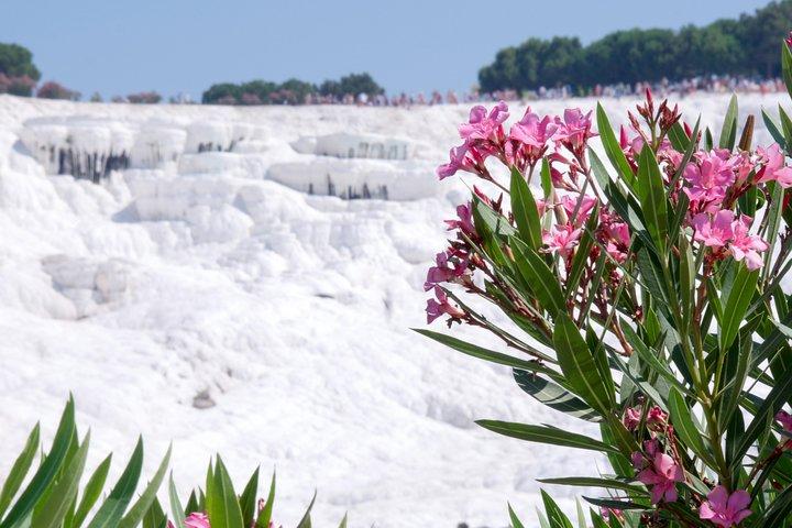 Pamukkale Day Tour from Selcuk