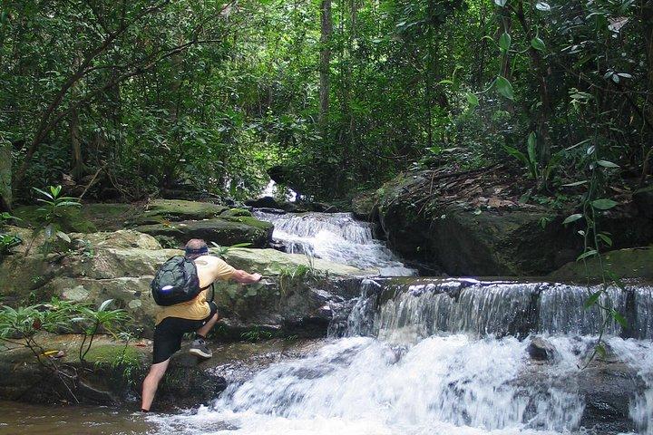 6-Hour Hike and Bike in Doi Suthep Pui National Park Combo from Chiang Mai