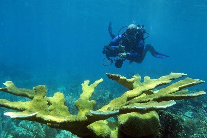 Fajardo 2-Tank Scuba Dive for Certified Divers Only