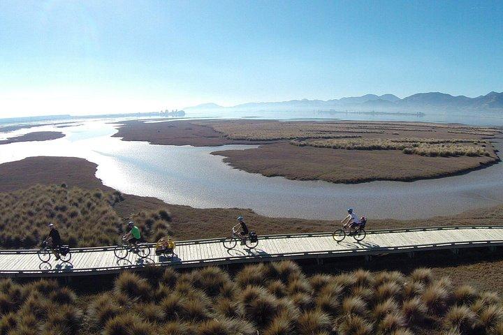 Self-Guided Nelson to Mapua Cycle Adventure