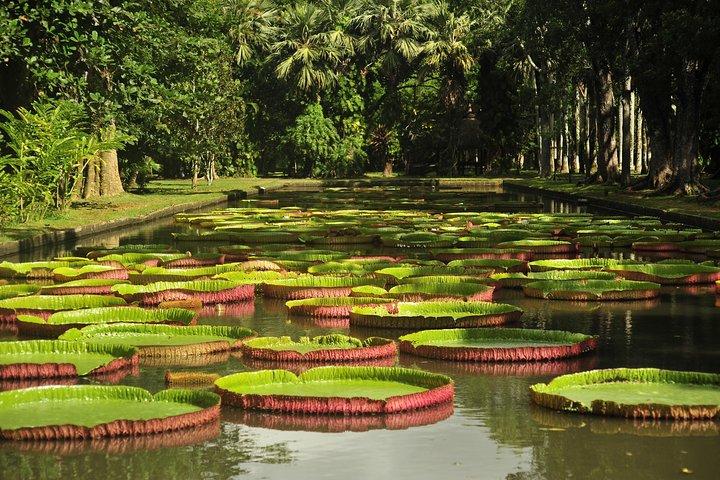 Historical Private Guided Tour, City-SugarWorld-Botanical Garden - Min.2 persons