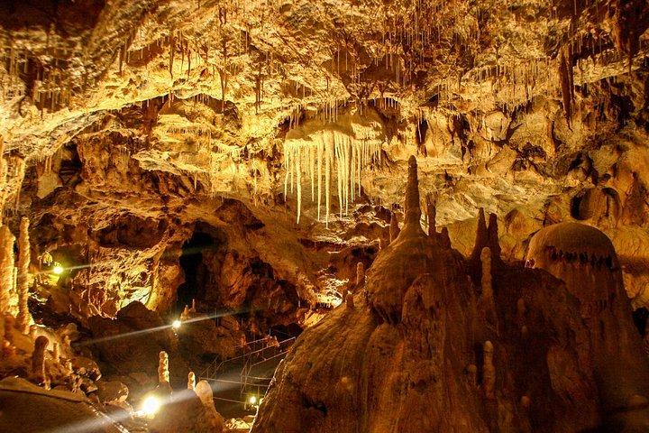 The Bear's Cave - One-Day Air conditioned car Tour from Oradea