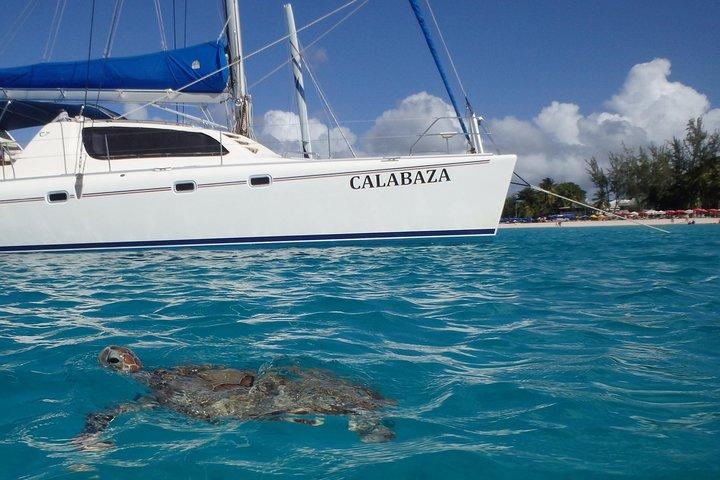 5-Hour Small-Group Catamaran Cruise from Bridgetown with Lunch