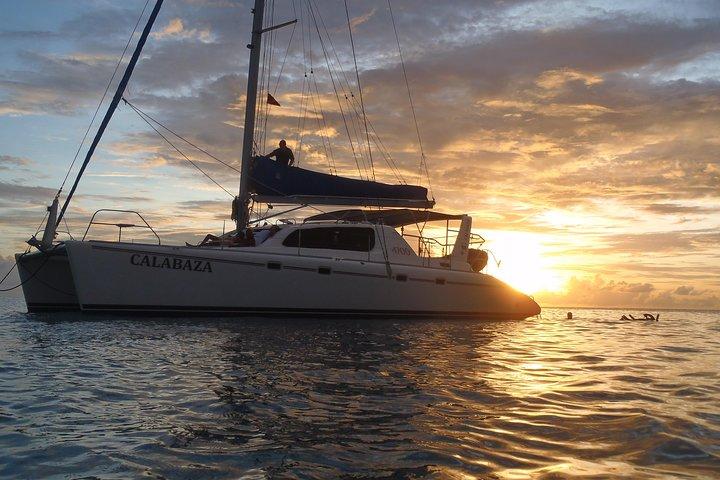 Afternoon Luxury Catamaran Sailing and Charter Cruise from Bridgetown