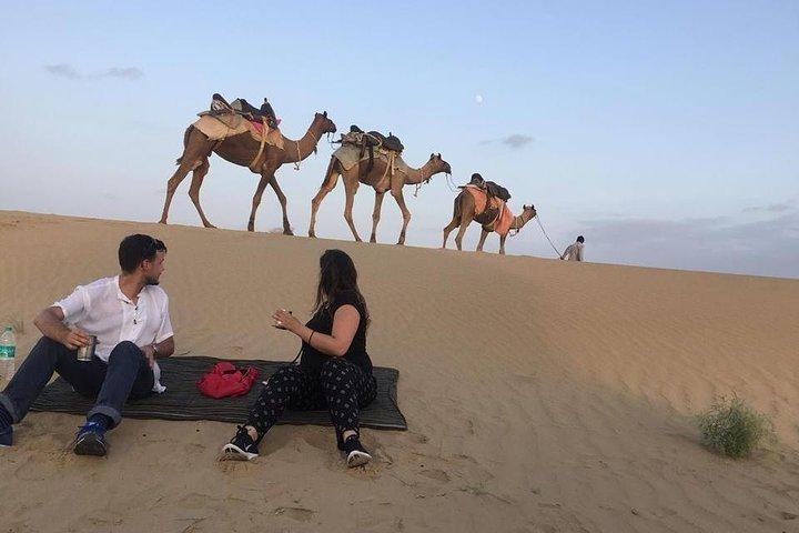 Half Day Camel Safari Sunset with Dinner Tour (Non Touristic)