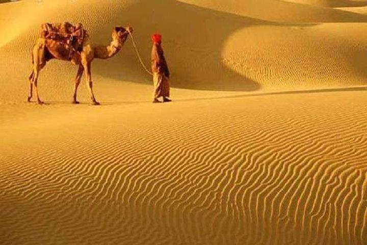 A Camel Safari Through The Thar Desert Sand Dunes Near Bikaner