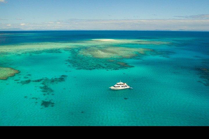 Great Barrier Reef Dive and Snorkel Cruise from Mission Beach