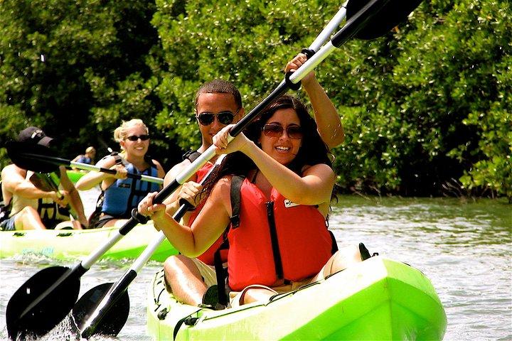 St Thomas Mangrove Lagoon Kayak and Snorkel Tour in the US Virgin Islands