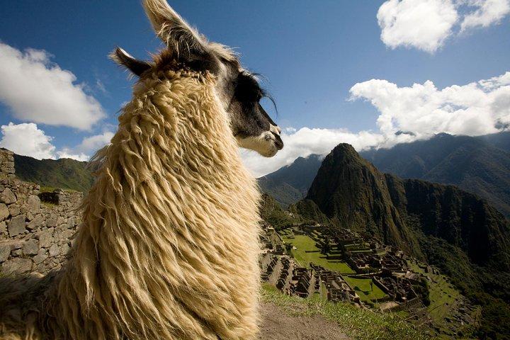 6 Days Exploring Cusco, Sacred Valley & Machu Picchu