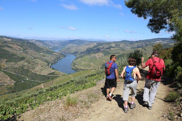 Valença do Douro Walking Tour