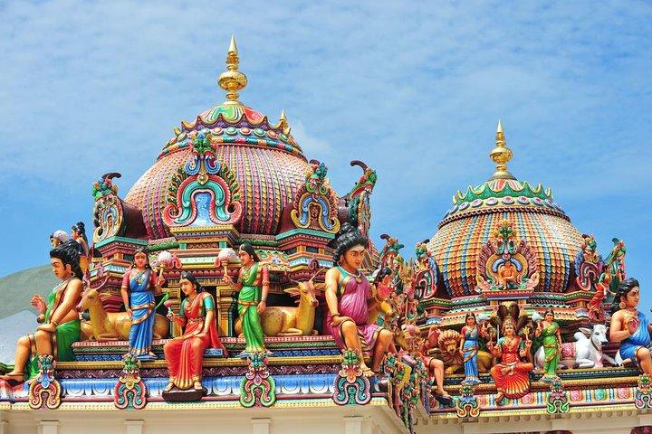 Private Tour: Half-Day Chennai Sightseeing with Government Museum and Kapaleeshwar Temple
