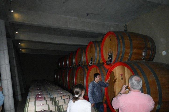 Private Wine Tour in Valparaíso