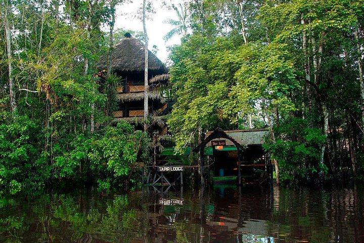 4-Day Ecuador Amazon Jungle Tour - Lodge in Cuyabeno Reserve