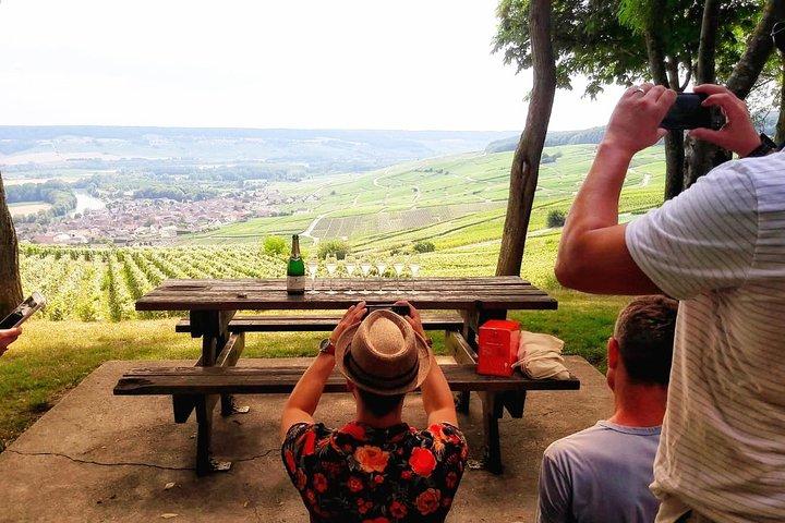 Champagne Cellars & Vineyards tour from Reims full day