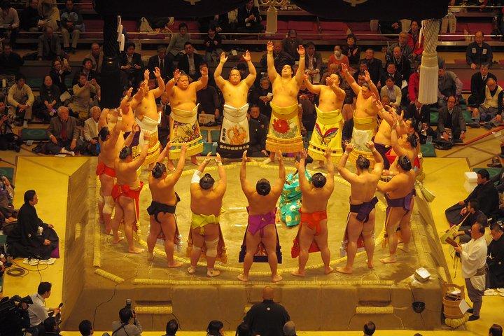 Tokyo Sumo Wrestling Tournament Experience