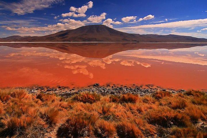 2-Days Uyuni Salt Flats including Laguna Colorada