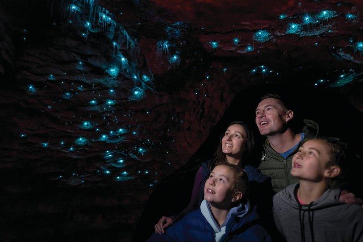 Te Anau Glow Worm Caves Tour