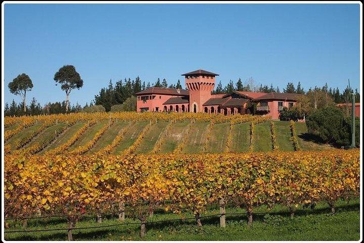 Private Tour: Winter Wine and Scenic Delights Tour from Picton