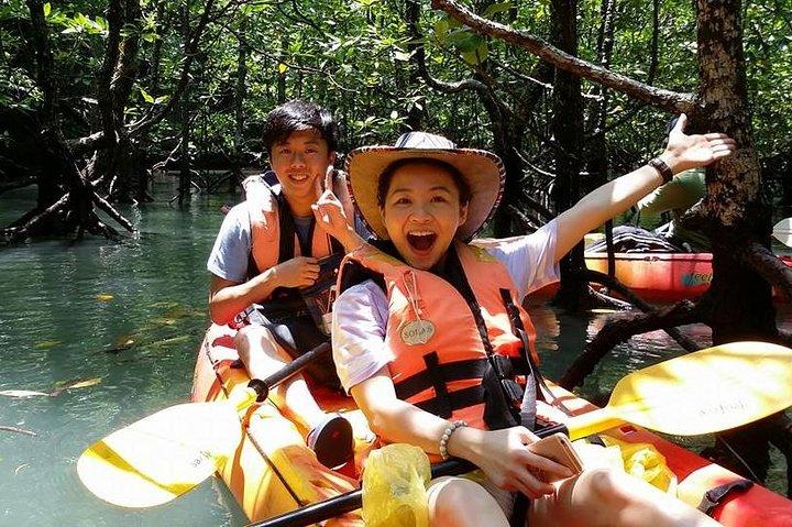 Full Day Kilim Mangrove Forest Kayaking Tour from Langkawi