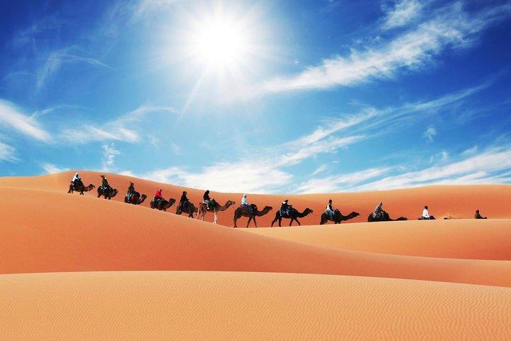 Merzouga Camel Trekking & Overnight Desert Camp