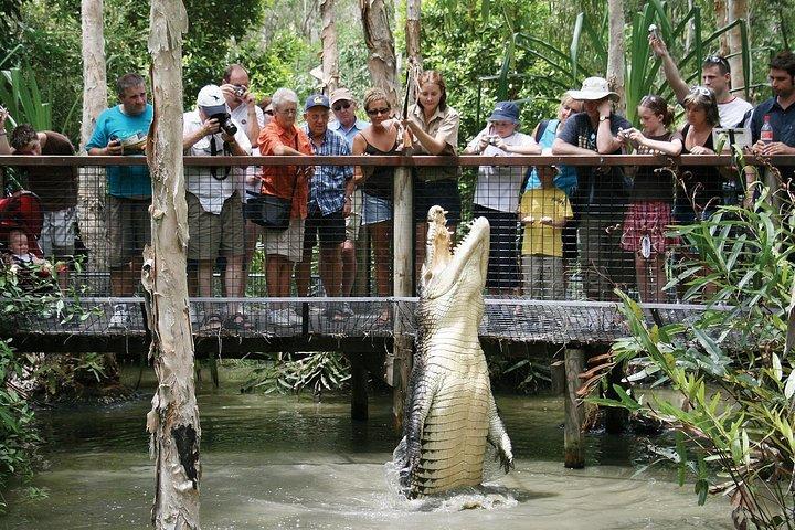 Hartley's Crocodile Adventure Half-Day Tour
