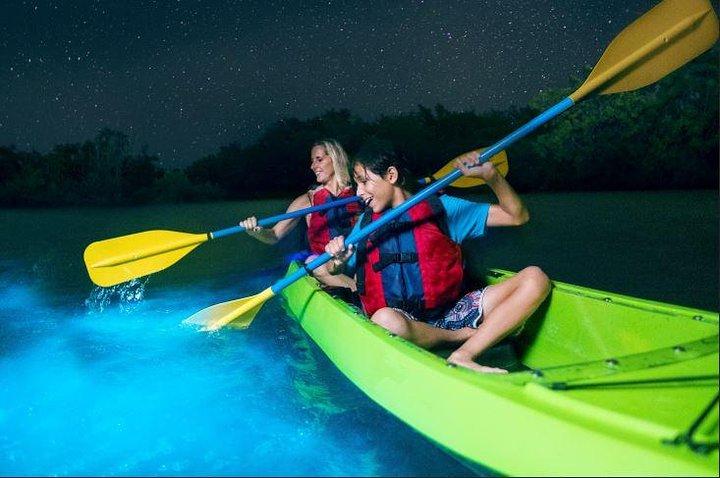 Cocoa Beach Night Time Bioluminescence Kayak Tour