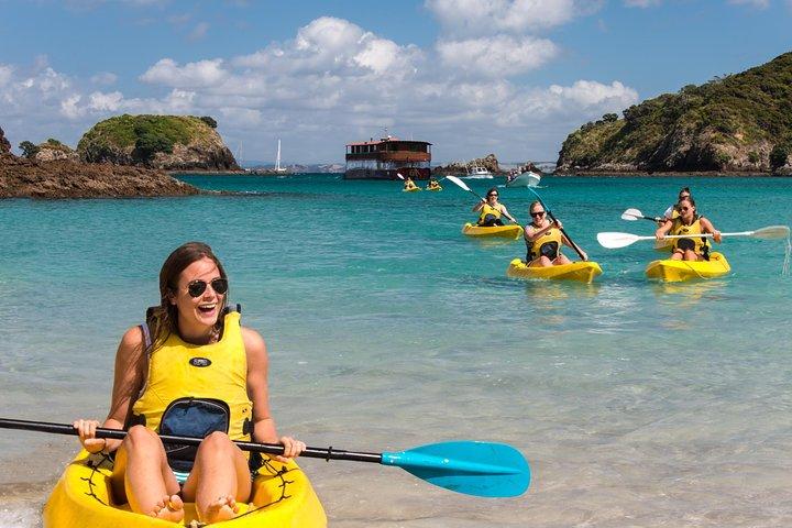 Full-Day Adventure Cruise with Lunch in Bay of Islands
