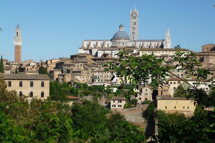 The best of Siena - Private Walking Tour