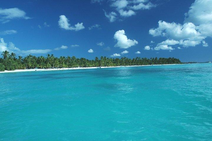 Saona Island Full-Day Tour with Lunch from Punta Cana