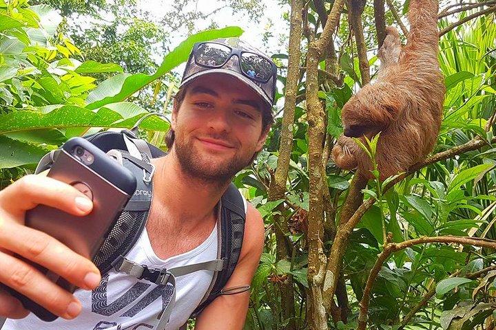 Sloth Discovery from Playa del Coco Area