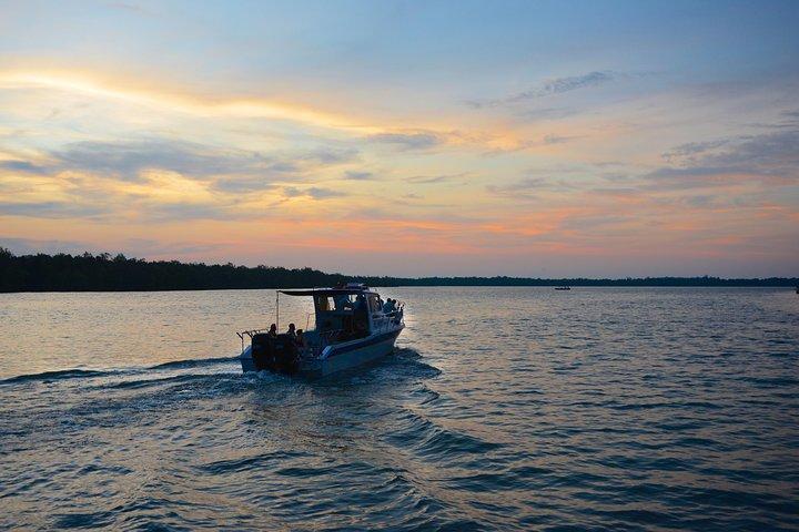 Shared Mangrove & Irrawaddy Dolphin Watching Cruise