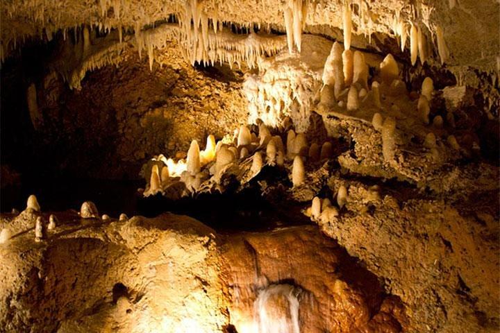 Treasures of Barbados Cave and Plantation Sightseeing Tour 