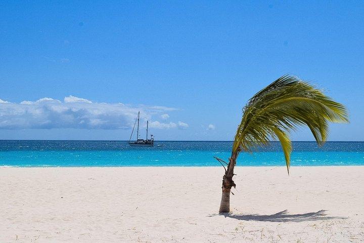  Barbados Island Highlights Half-Day Tour 