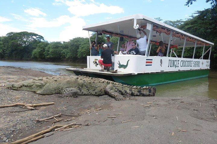 Jungle Crocodile Safari and Bird Watching Tour