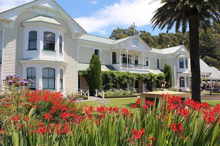Small Group Half-Day Napier Wine Experience Tour