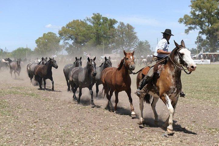 Gaucho Experience: A Day Trip to Don Silvano Ranch