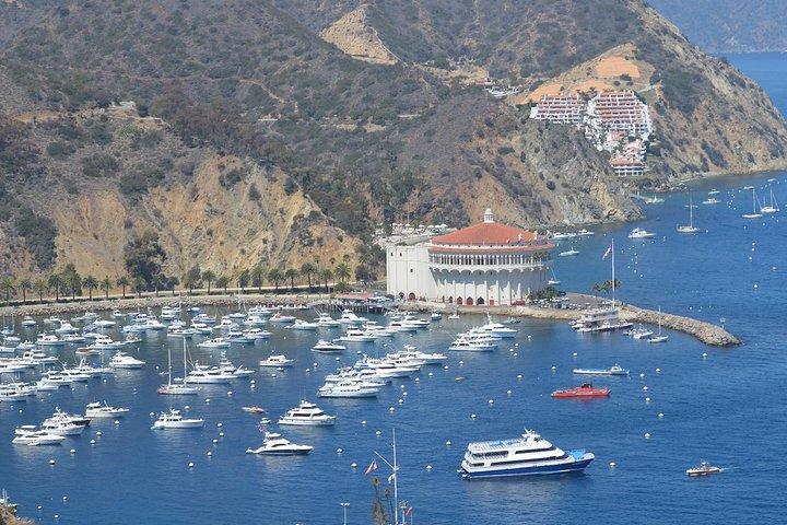 Catalina Island Day Trip from Anaheim Hotels with Discover Avalon Tour