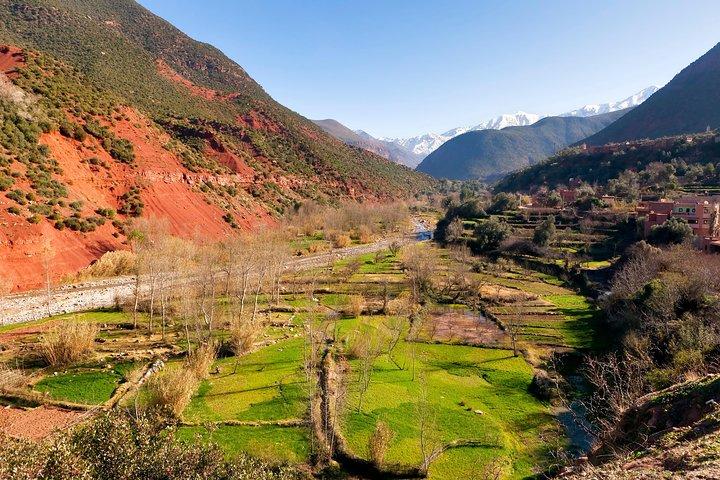 Atlas Mountains & 5 Valleys Day Tour from Marrakech - All inclusive -