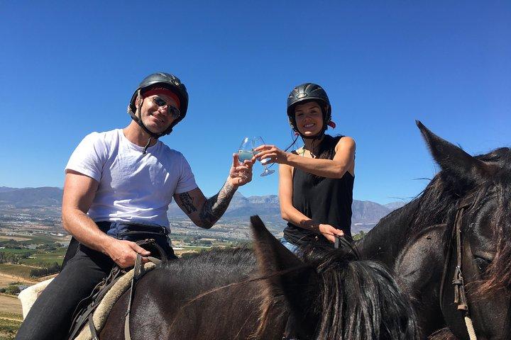Full Day – Wine Tasting Horse Trail